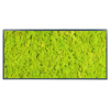 Panneau de mousse naturelle vert lime et son cadre de montage – Image 3