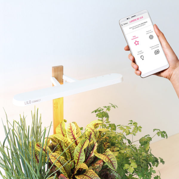 Potager d'intérieur Lilo Edition connecté – Image 2