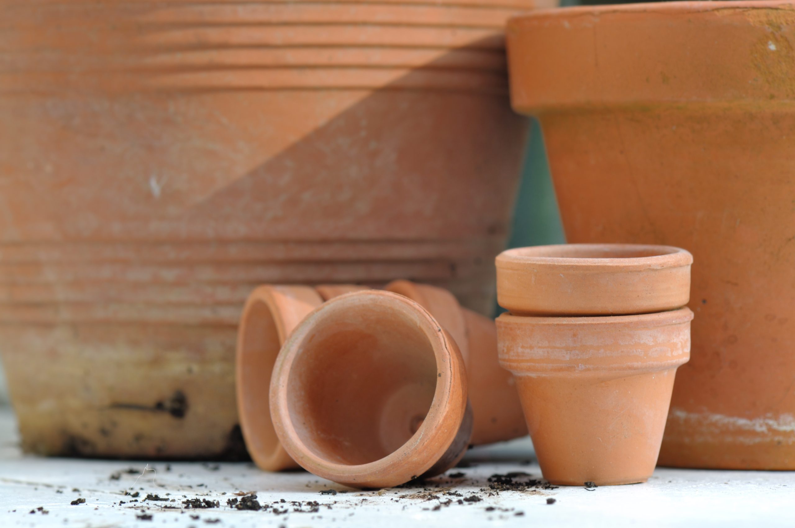Pot à fleur extérieur - Conseils pour choisir le bon pot pour votre es